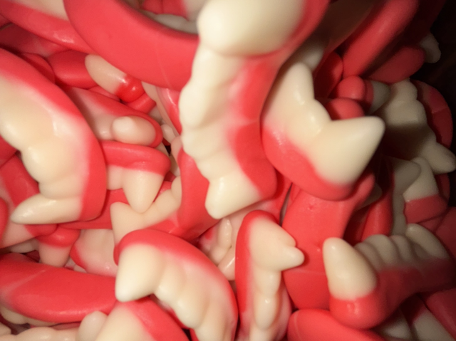 DENTS DE  VAMPIRE 100g