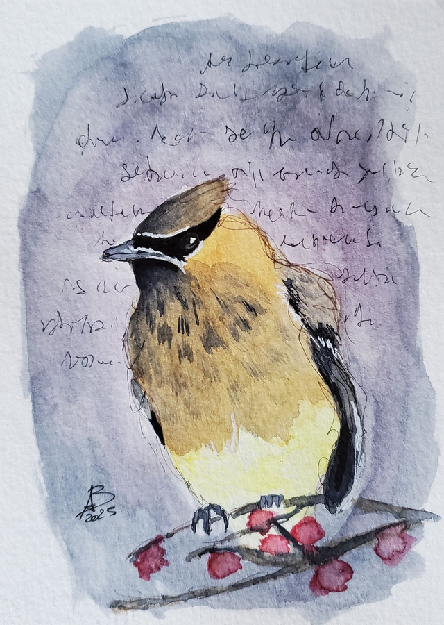 [1884] Jaseur d'Amérique