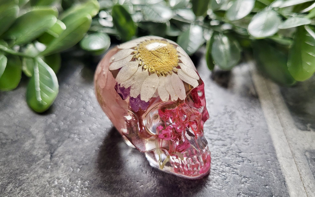 Skull Ornament - Medium -  Clear with Dried Flowers - White &amp; yellow daisy in top