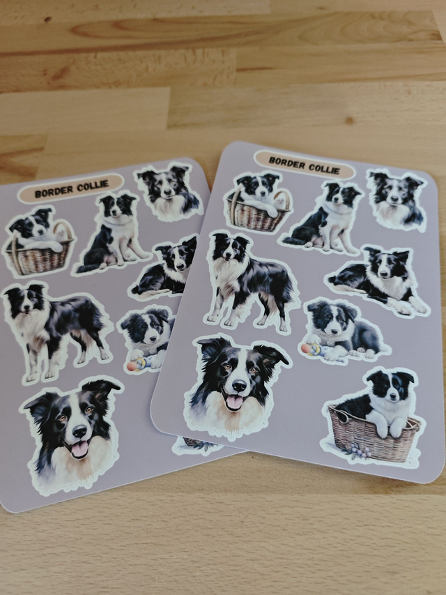 Planche stickers Border Collie