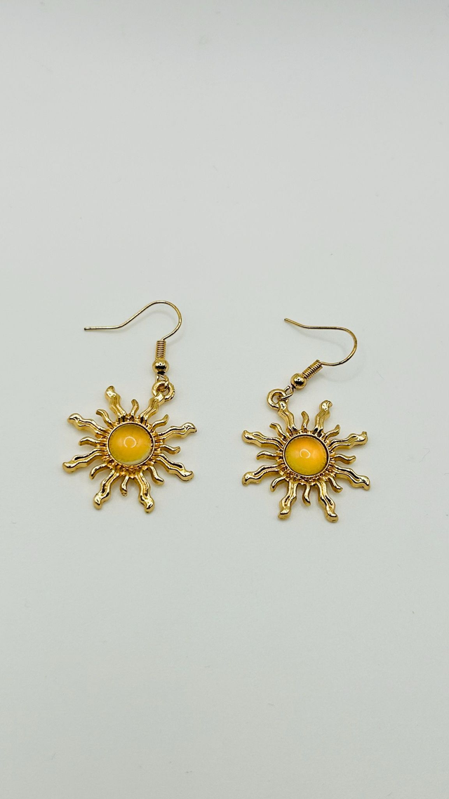 Stainless Steel Earrings (SSE79J)