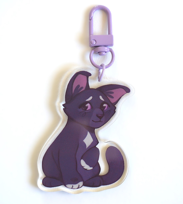 Warrior Cats: Ravenpaw