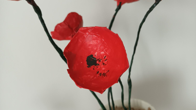 TASSE DE 5 COQUELICOTS , fait main, papier mâché, fleurs éternelle, à offrir ou pour sa décoration,