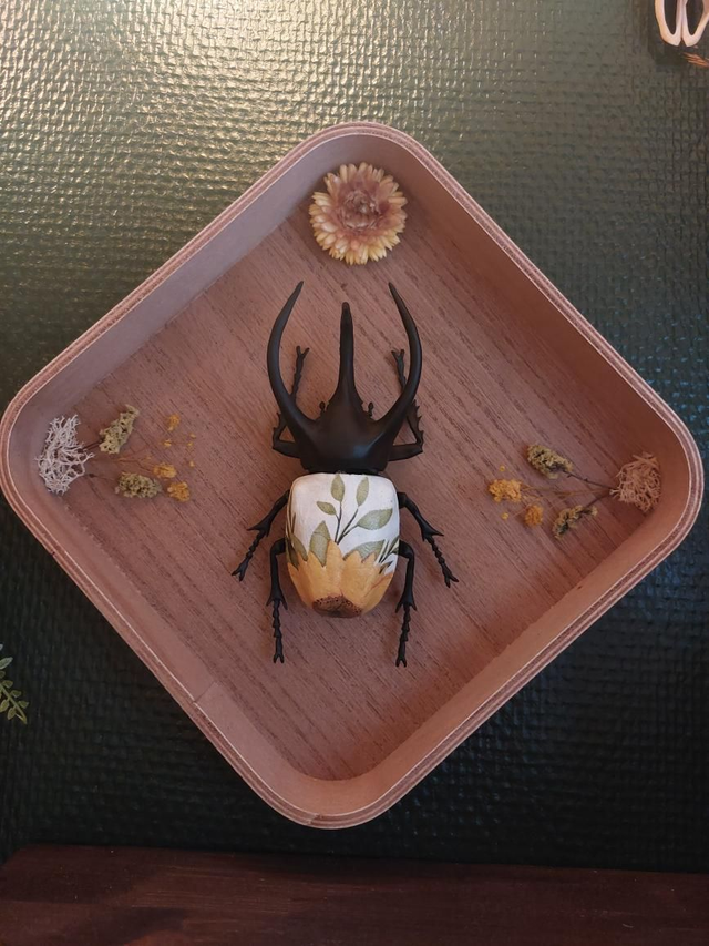 Cadre en bois tournesol avec scarabée en résine 