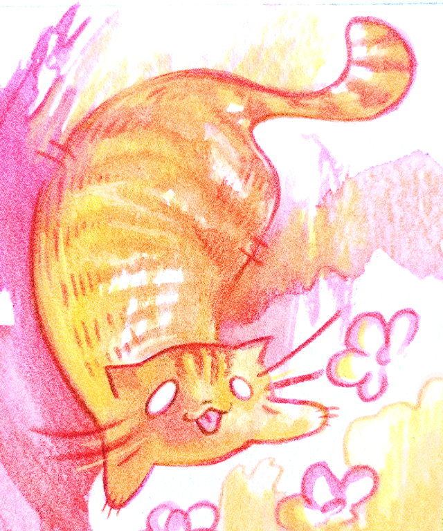 Chat Patate - Classique - Rouroux