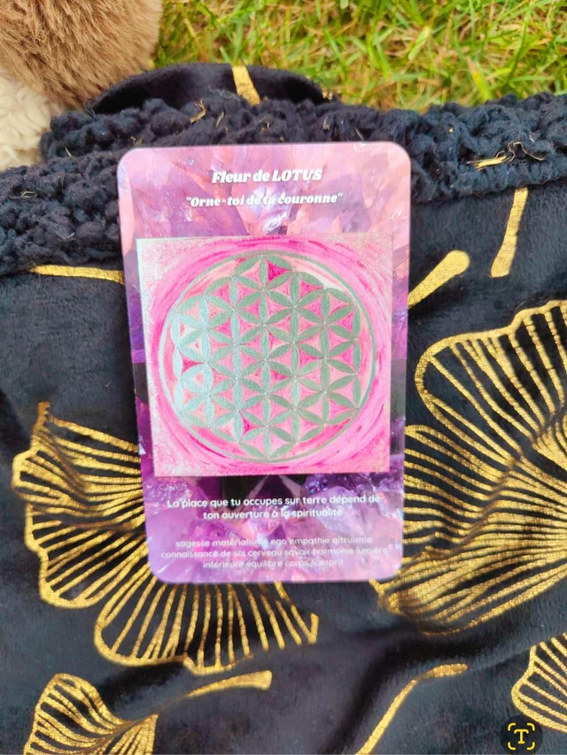 Oracle Messages des Fleurs de Vie 