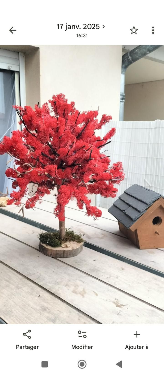 Arbre naturel stabilisé 45 cm et sa mousse naturelle, sans entretien. 