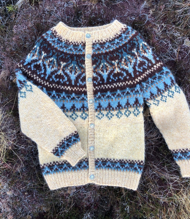 Alasuq Cardigan Kit - Col 02 (Ray of Light Álafosslopi) - Wool & Pattern - Linka Neumann