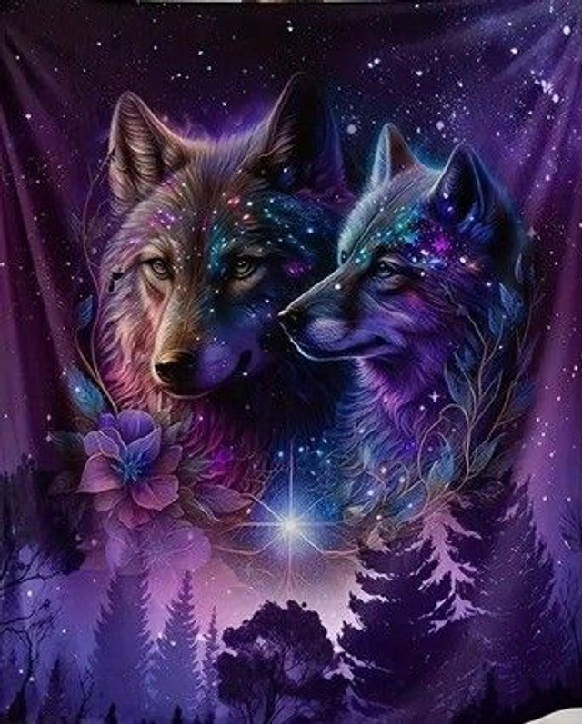 Loup ciel étoilé couver ture 150 cm x 200 cm