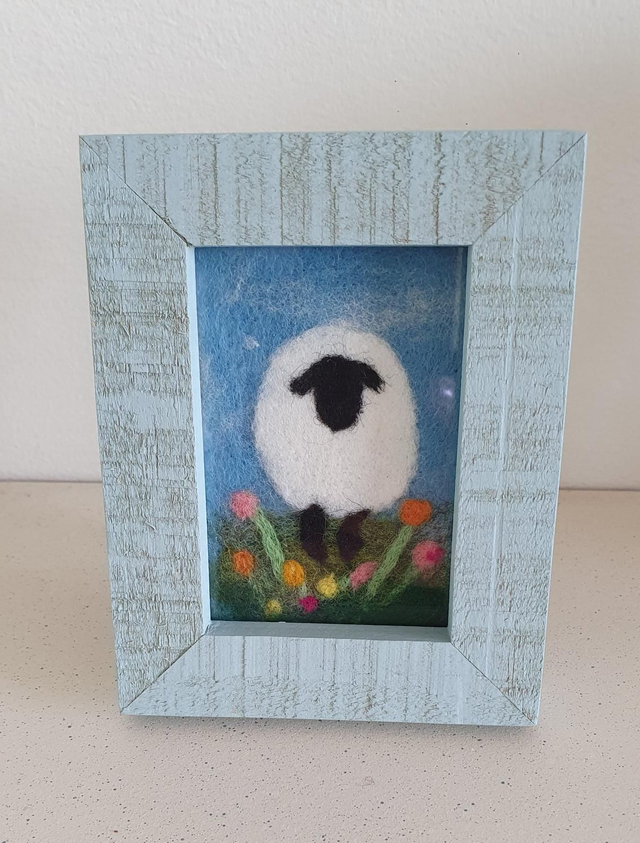 Mini sheep picture 