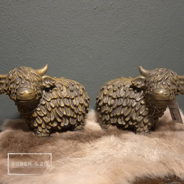 Hooglander bruin, maat L