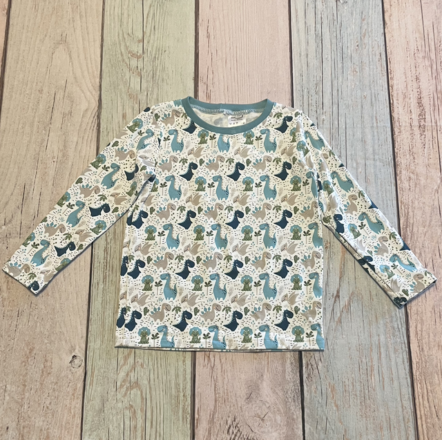 Langarmshirt, Größe 110, Dino
