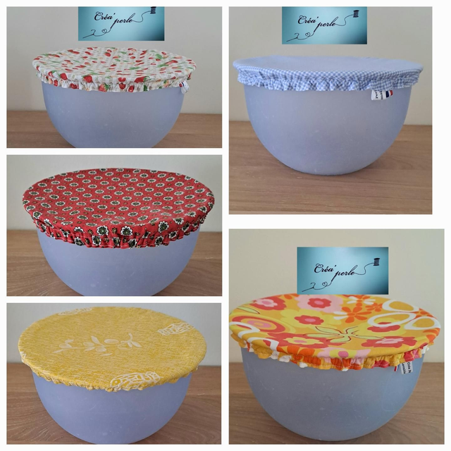 Charlotte pour plat D26