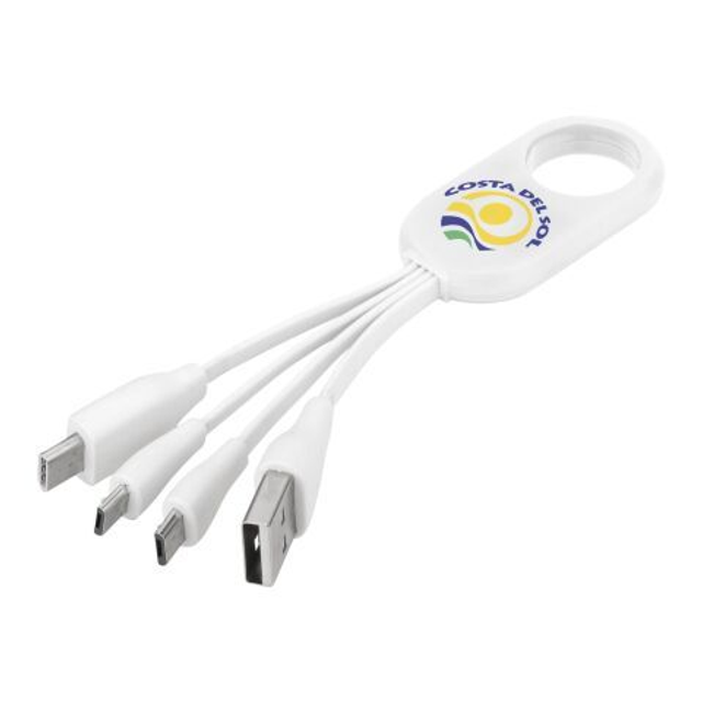 Troup 4-in-1 charging cable with type-C tip