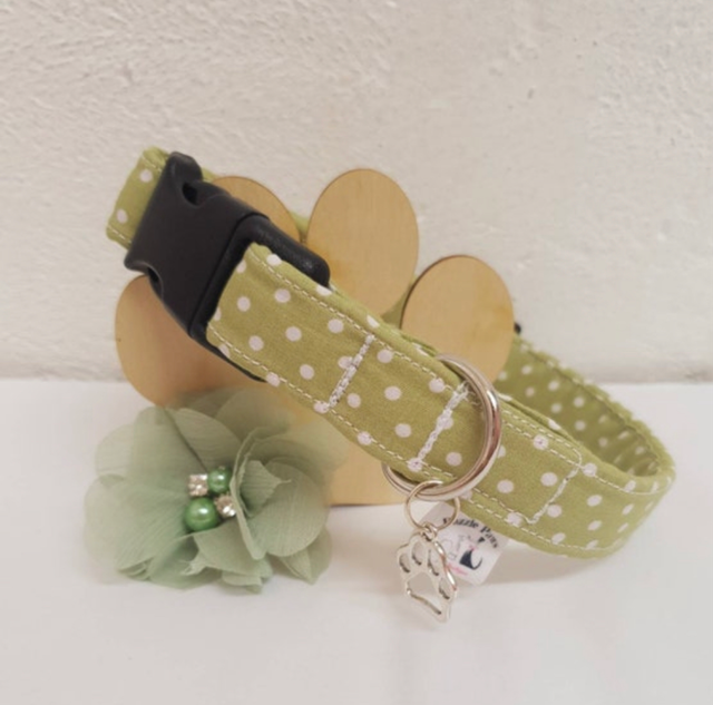 Sage Polkadot Collar    