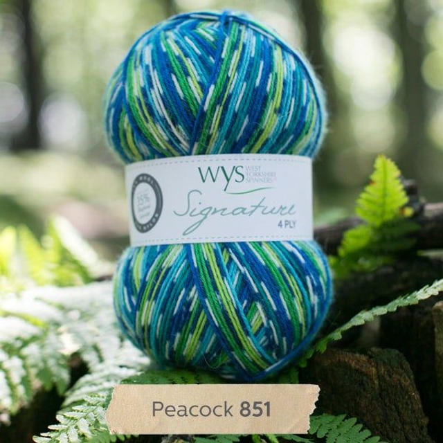 West Yorkshire Spinners Signature 4ply 100g/400m Peacock 851