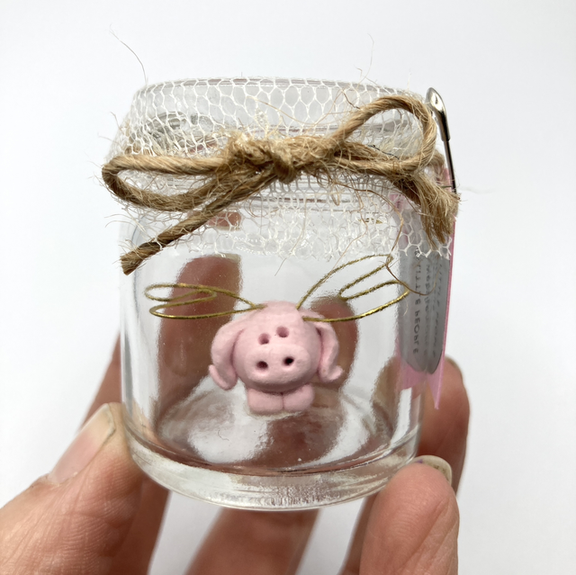 Freshly Caught Flying Pig