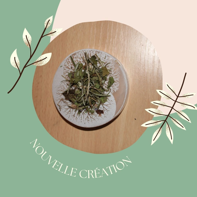 Crea Maëlle  - Infusion 30g