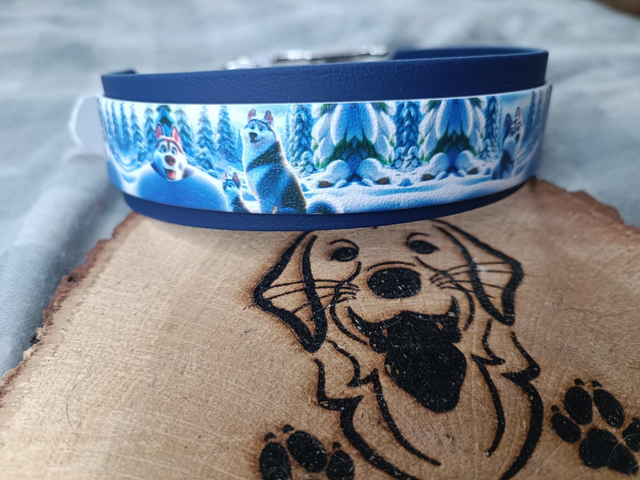 Duo biothane 39mm et biothane uv 40-49 cm