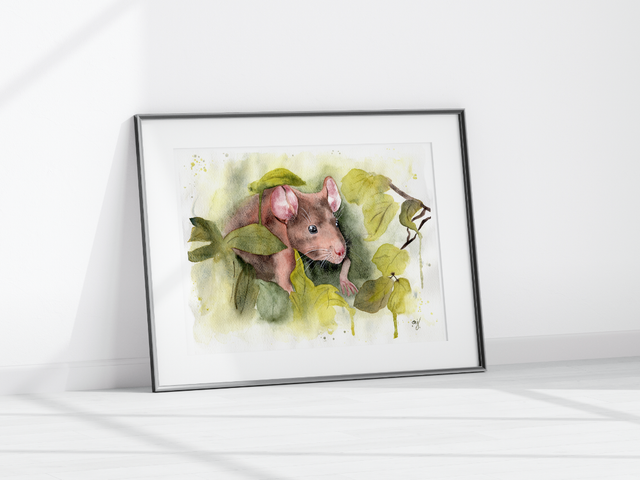 Forest Rat (Original)