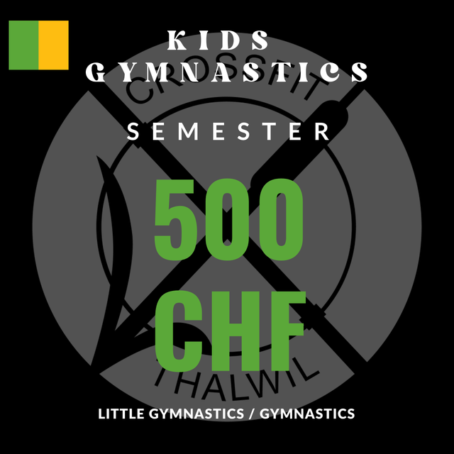 Gymnastics Semester