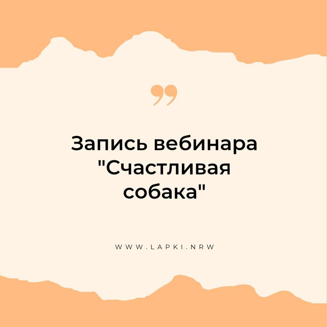 Вебинар "Счастливая собака"