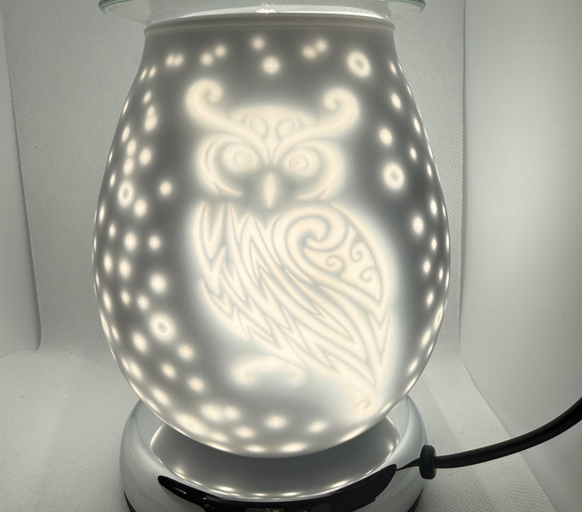 Owl Electric Touch Burner