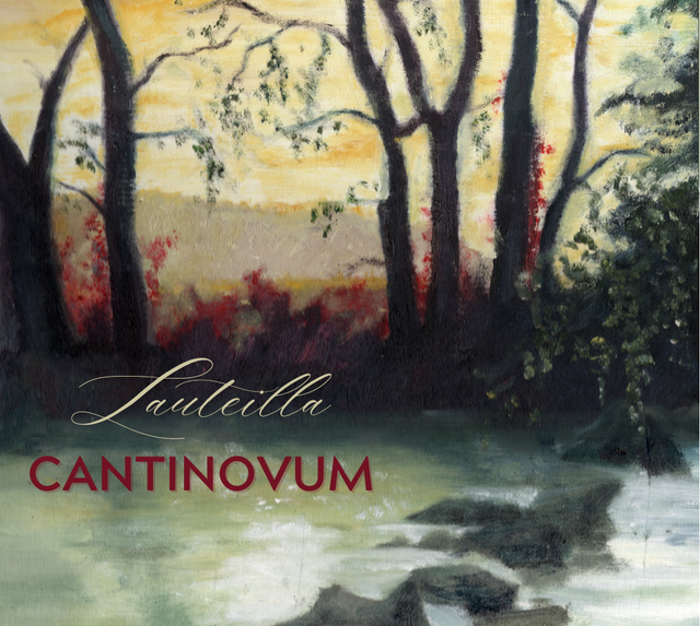 Cantinovum, Lauteilla