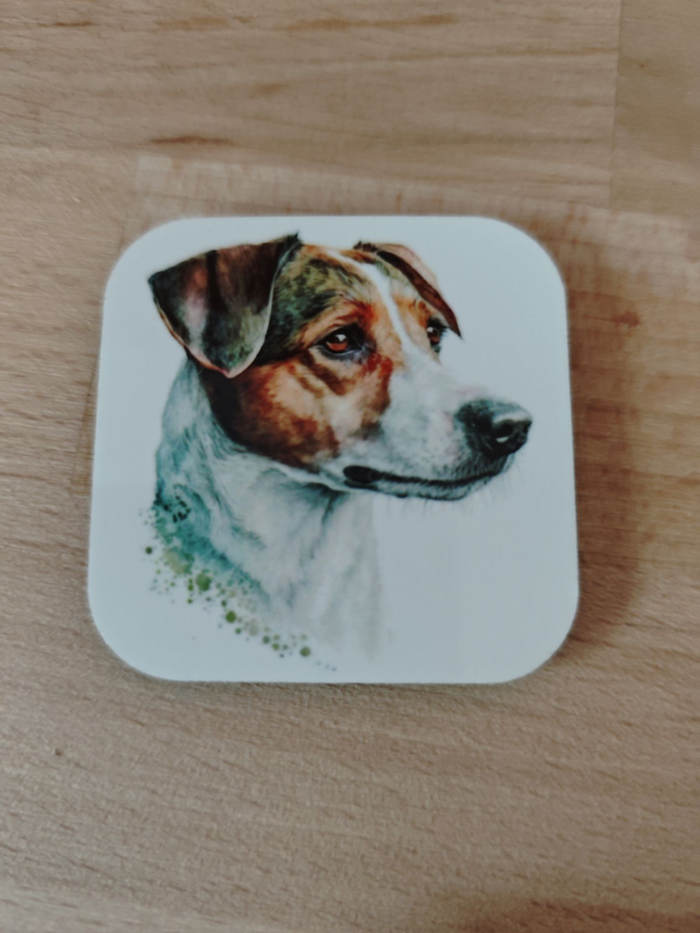 Magnet Jack Russel