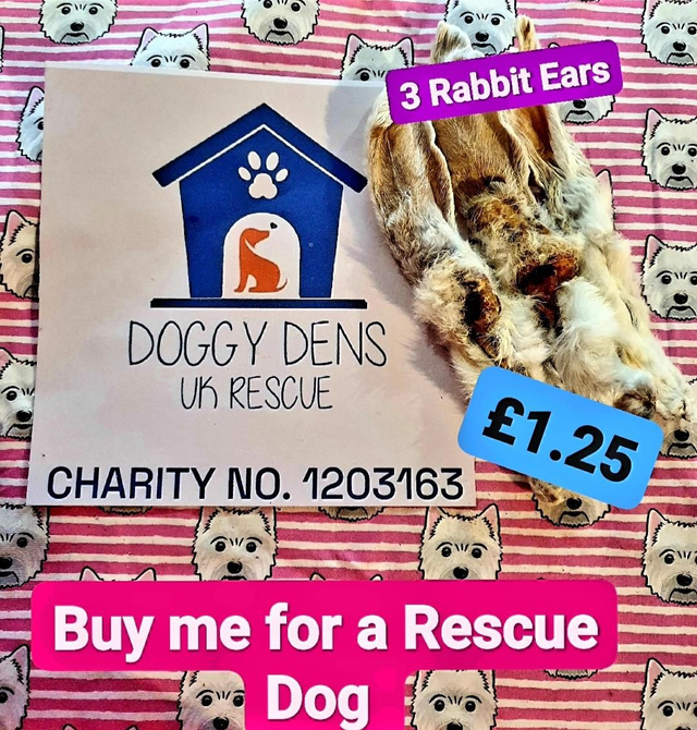 Rabbit Ears for Doggy Dens Uk