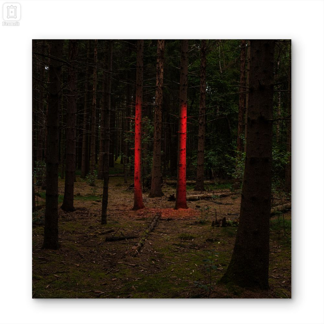 'Signal 06' Fineart print on dibond   