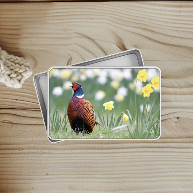 "Rufus Pheasant" Keepsake Tin  