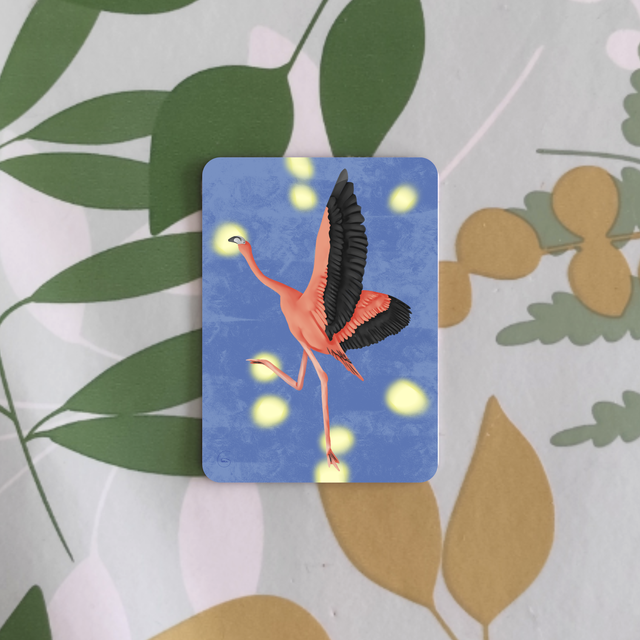 Oiseaux