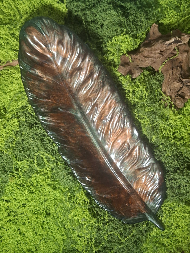 Vide poche plume