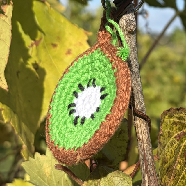 Kiwi Fidget Keychain