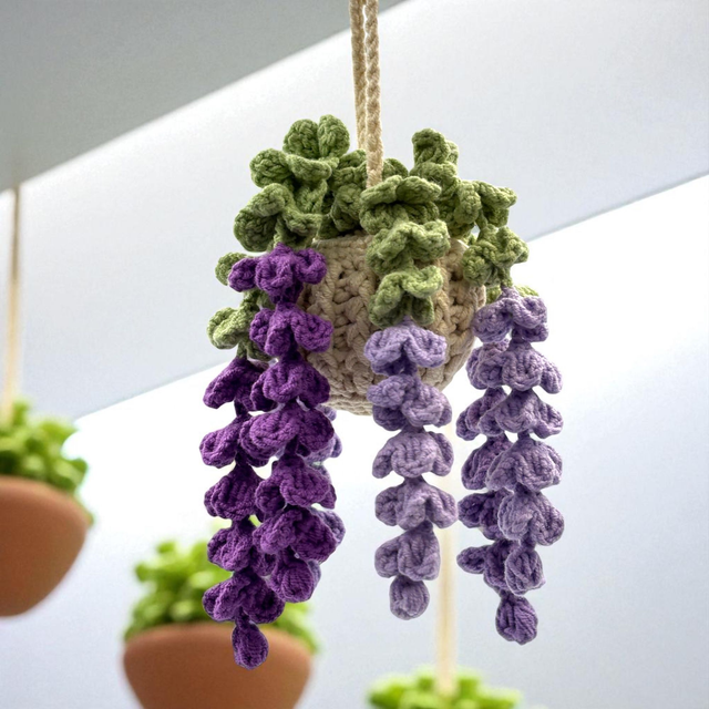 Plante Grimpante