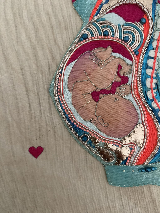 Planche anatomique grossesse bleu et rose fluo