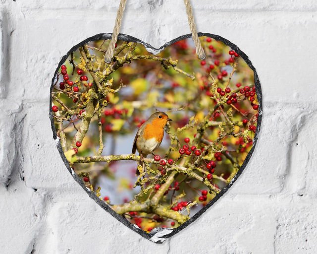 “Robin Amongst The Berries” Heart Slate  