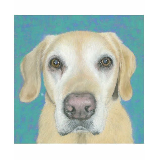 Print (medium) 'SANDY' (Broken Biscuits)