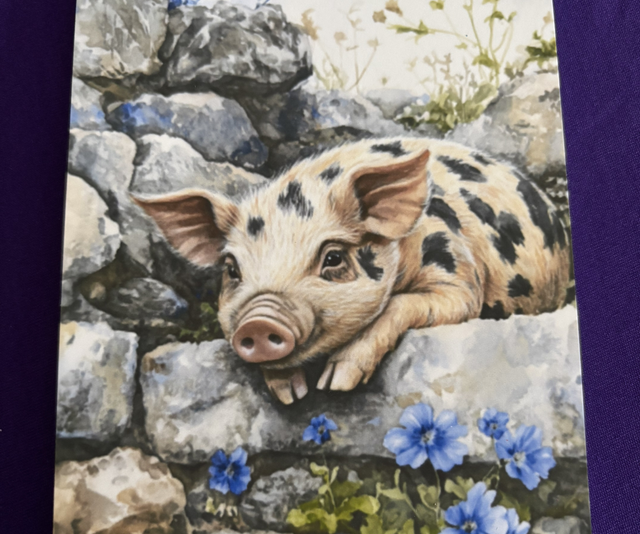 Plain Note Pad Pig Black spot