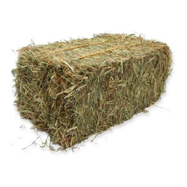 hay