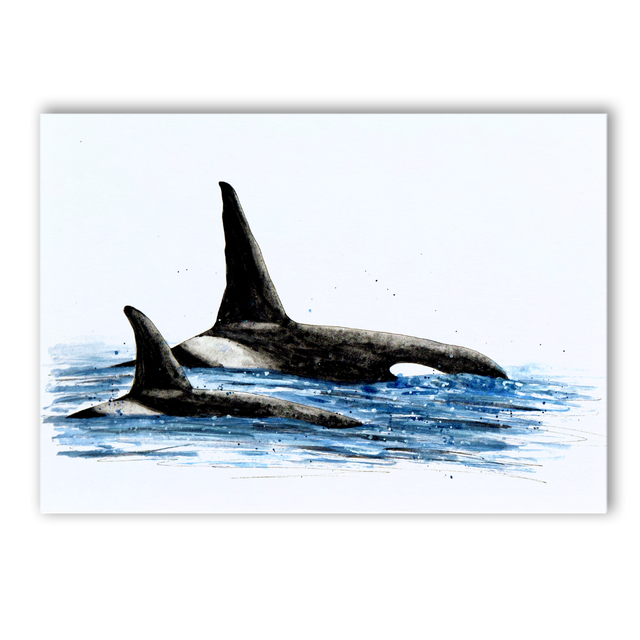 A5 Orca fins on the horizon watercolour print