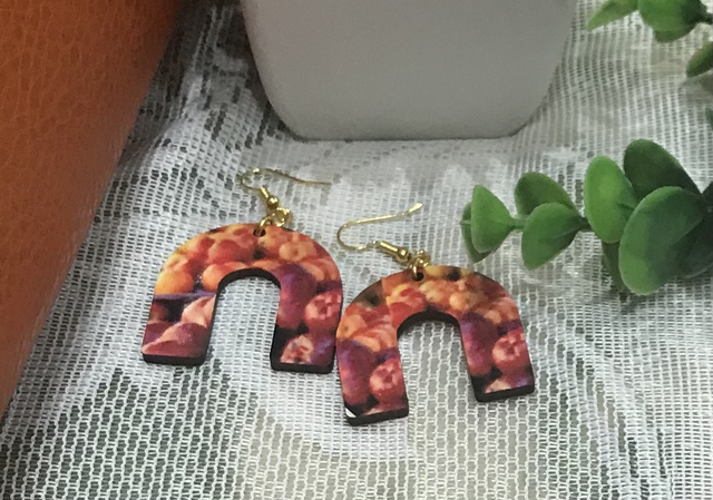 Wood Mixed Colour Dangling Earrings- MSDE03 
