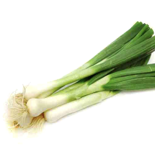 Oignon cébette (botte)