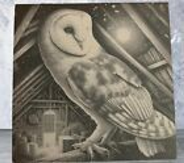 Slate Coaster - Owl in a Loft