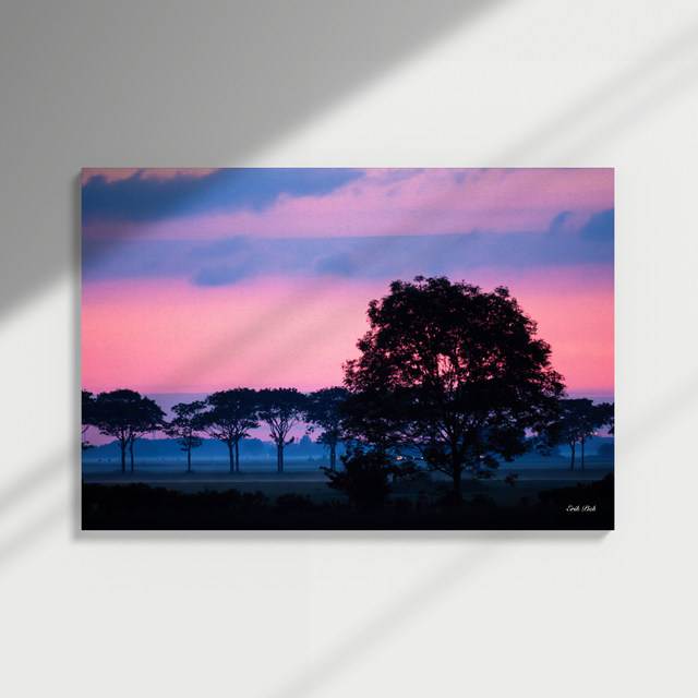 Dibond print - Zonsondergang Roze