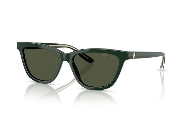 Eyewear Woman Giorgio Armani  AR 8221 617331