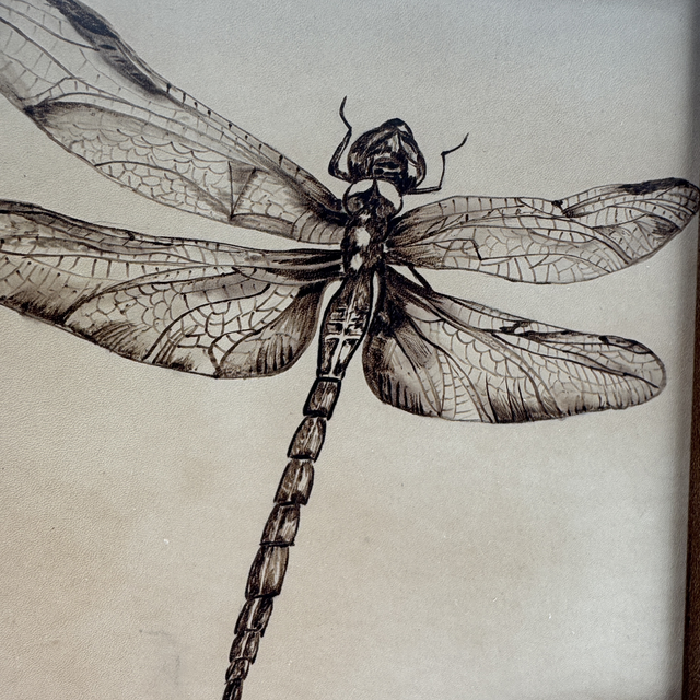 Wednesday 8th July Dragon Fly Inspired Pyrography Workshop in Ecclesall Woods 