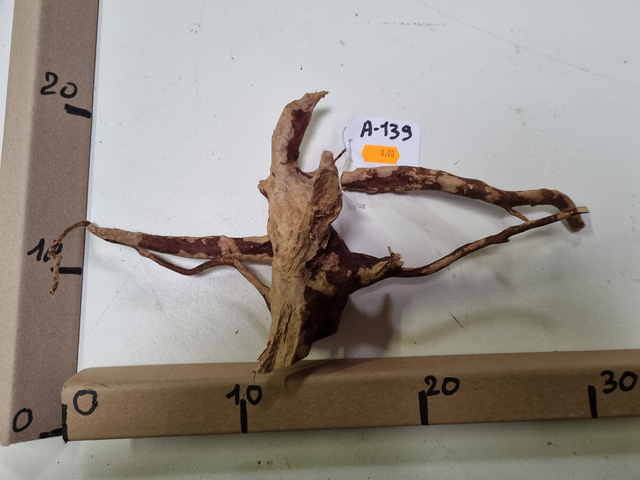 Racine araignée A-139