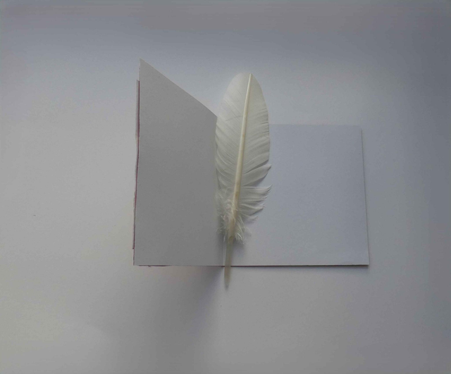 Je t'aime à la Saint-Valentin (carte à tirette)